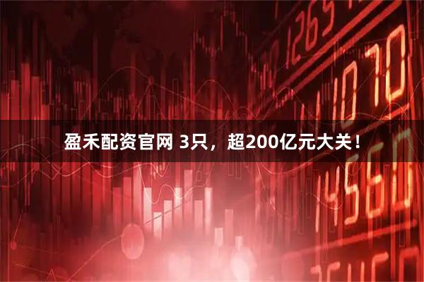 盈禾配资官网 3只，超200亿元大关！